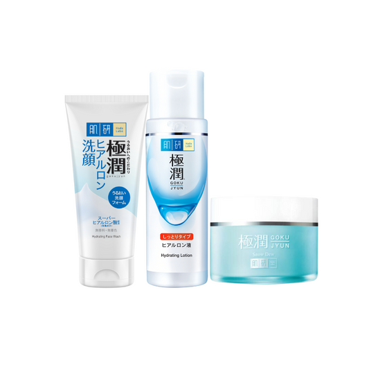 Hada Labo Hydrating Rich Set - For Normal/ Dry/ Dehydrated Skin